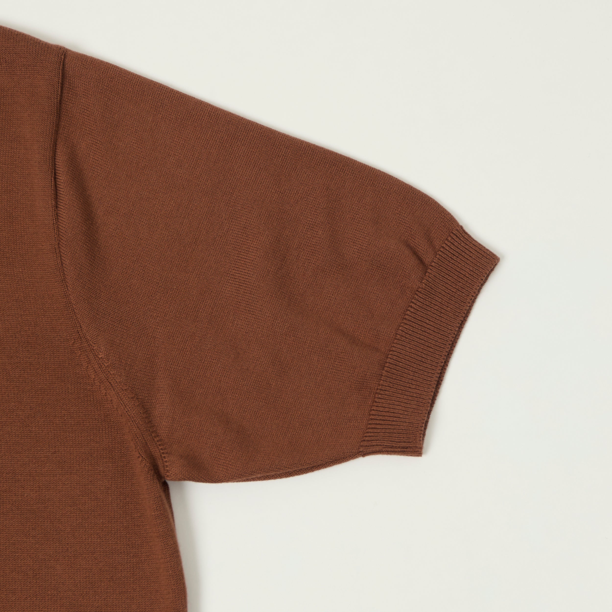 Fujito Knit Skipper Polo Shirt - Brown