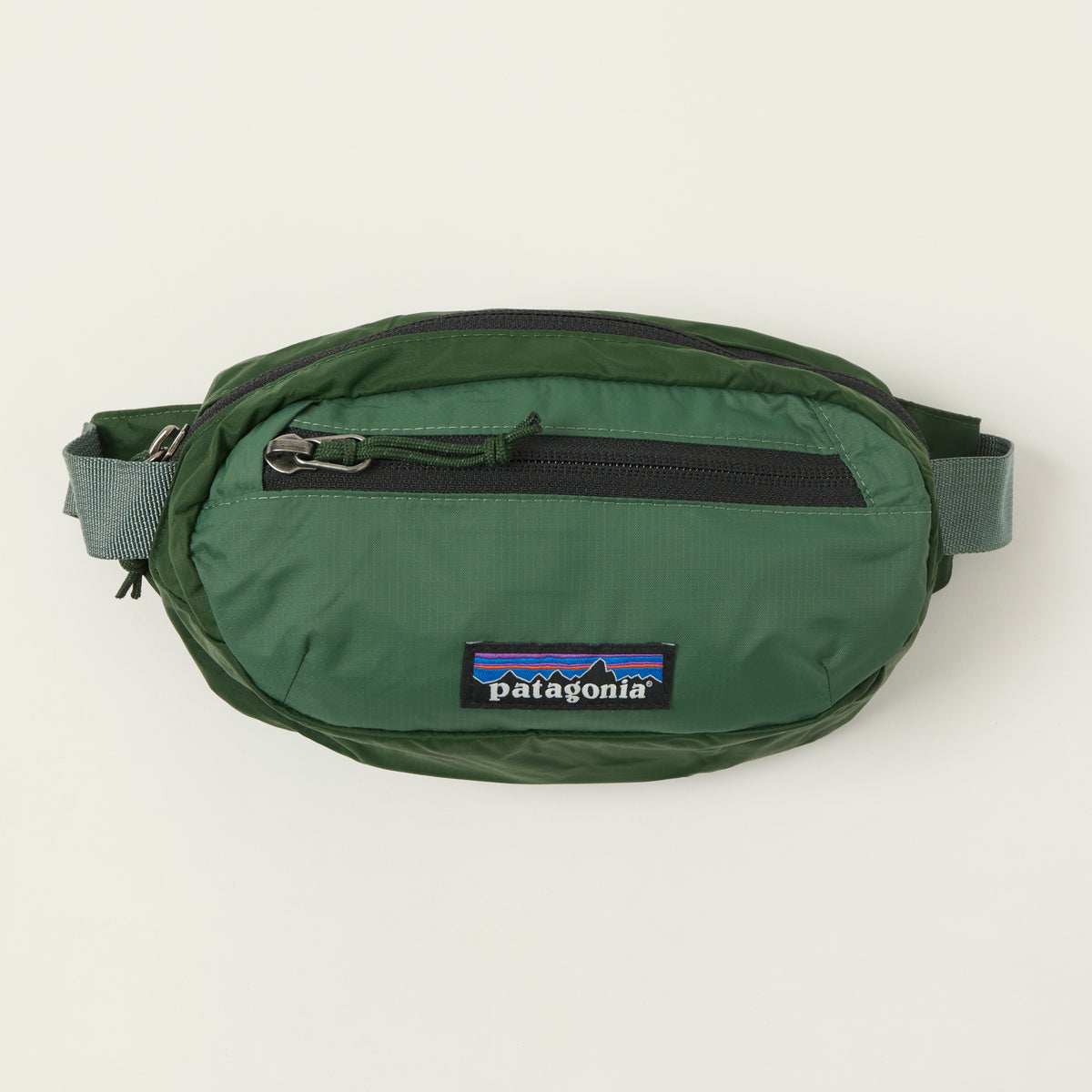 Patagonia 'Terravia' Mini Hip Pack - Canopy Green